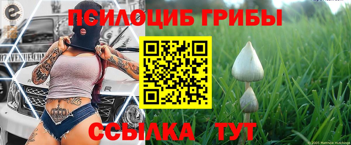 Галлюциногенные грибы ЛСД  как найти наркотики  Тимашёвск  Вход с VPN 
